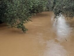 Air Sui Kuala Buayan Tercemar Diduga Akibat PETI