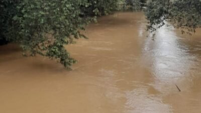 Air Sui Kuala Buayan Tercemar Diduga Akibat PETI