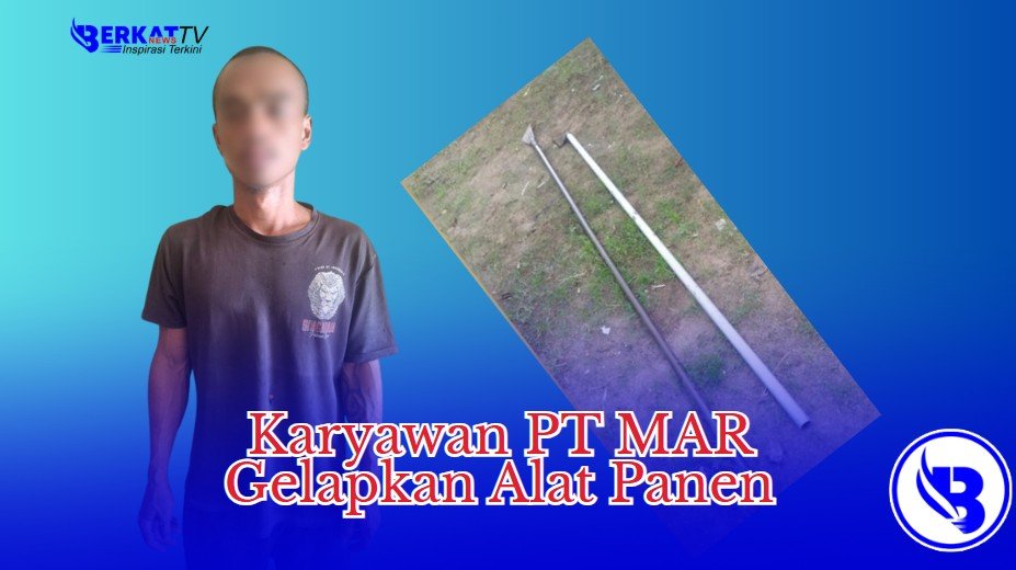 Karyawan PT MAR Enam Kali Mencuri Alat Panen Sawit