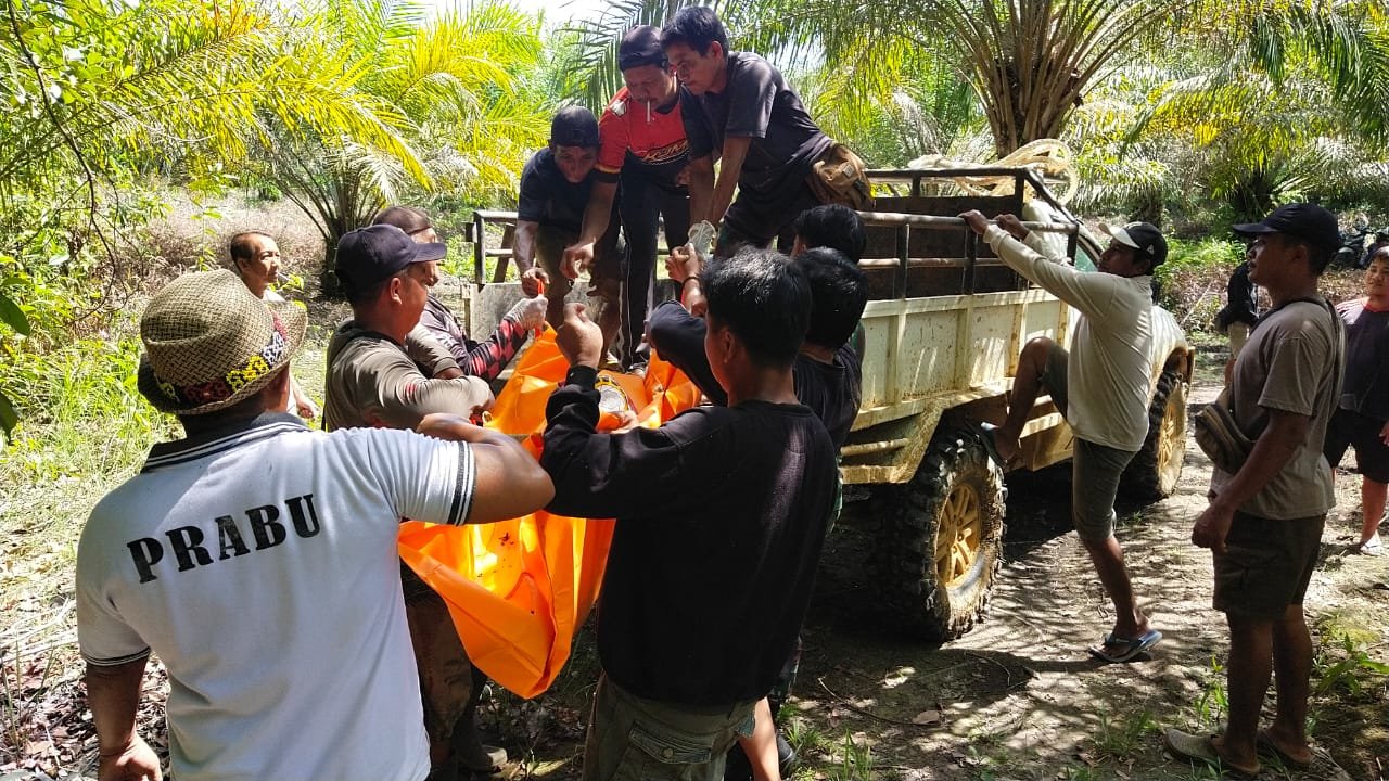 Pemancing Udang Ditemukan tak Bernyawa di Hutan Sui Miau