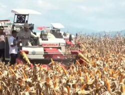 Panen Jagung Kalbar Ditargetkan 1 Juta Ton Dengan Harga Rp5.500 per Kg