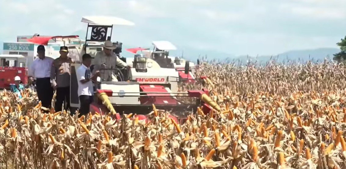 Panen Jagung Kalbar Ditargetkan 1 Juta Ton Dengan Harga Rp5.500 per Kg