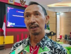 Lima Kecamatan di Sanggau Sentra Tanaman Cabai