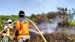 Karhutla Hanguskan 494 Hektare Lahan di Kalbar