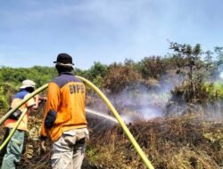 Karhutla Hanguskan 494 Hektare Lahan di Kalbar