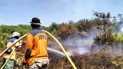 Karhutla Hanguskan 494 Hektare Lahan di Kalbar