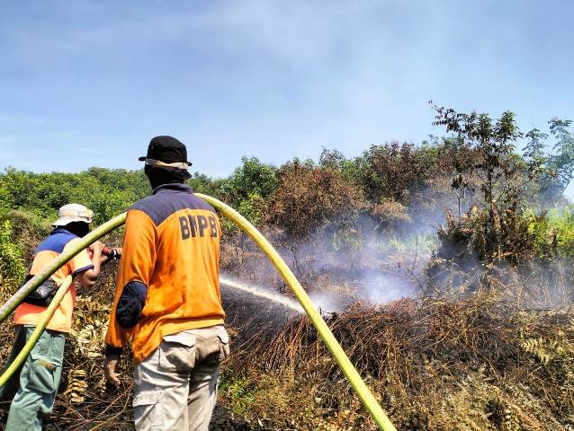 Karhutla Hanguskan 494 Hektare Lahan di Kalbar