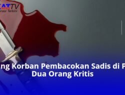 Tiga Orang Korban Pembacokan Sadis di Parwasal, Dua Orang Kritis