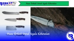 Pisau Terbaik Untuk Segala Kebutuhan