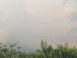 Karhutla Hanguskan Satu Hektare Lahan
