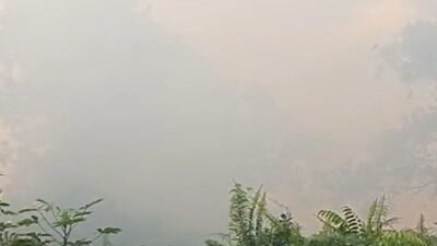 Karhutla Hanguskan Satu Hektare Lahan