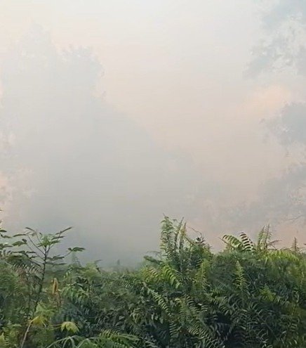Karhutla Hanguskan Satu Hektare Lahan