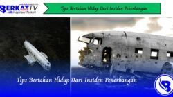 Tips Bertahan Hidup Dari Insiden Penerbangan