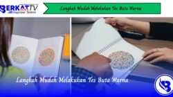 Langkah Mudah Melakukan Tes Buta Warna