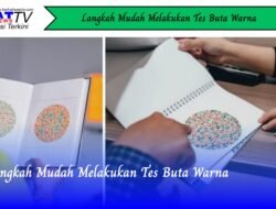 Langkah Mudah Melakukan Tes Buta Warna