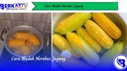 Cara Mudah Merebus Jagung