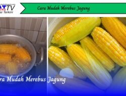 Cara Mudah Merebus Jagung