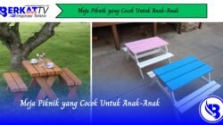 Meja Piknik yang Cocok Untuk Anak-Anak
