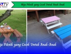 Meja Piknik yang Cocok Untuk Anak-Anak