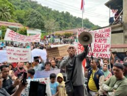 Polemik Arang Bakau Batu Ampar, Antara Regulasi dan Mata Pencaharian