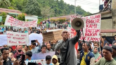 Polemik Arang Bakau Batu Ampar, Antara Regulasi dan Mata Pencaharian