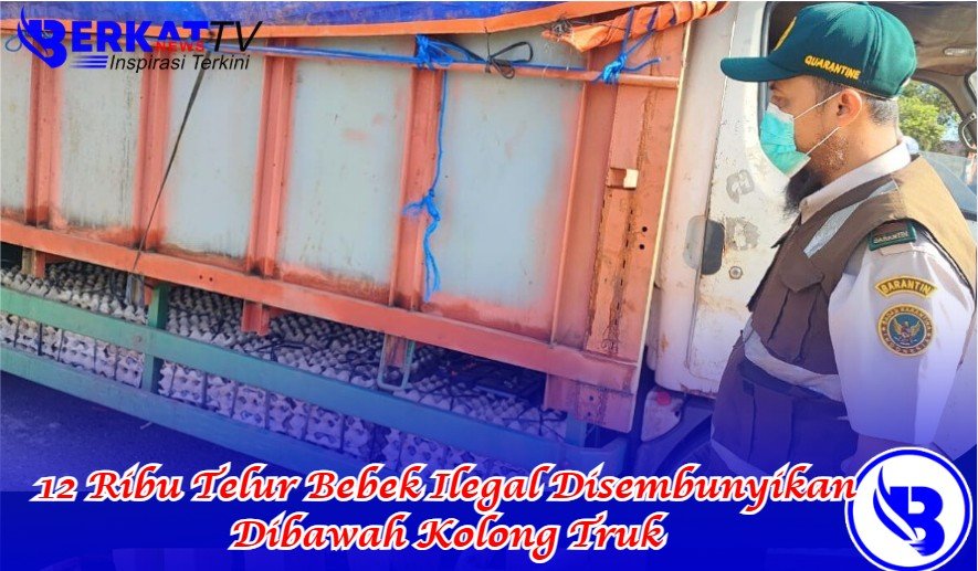 12 Ribu Telur Bebek Ilegal Disembunyikan Dibawah Kolong Truk
