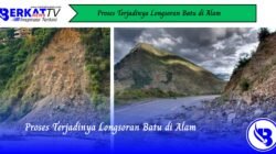 Proses Terjadinya Longsoran Batu di Alam