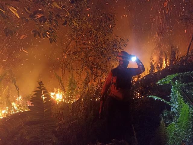 Pelaku Pembakaran Lahan Masih Misteri