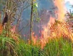 20 Titik Api Terdeteksi di Sanggau