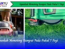 Sopankah Memotong Rumput Pada Pukul 7 Pagi