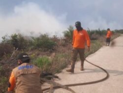 6 Perusahaan di Kalbar Disegel, 20 Proses Verifikasi Lapangan. Siap-siap Dipidana