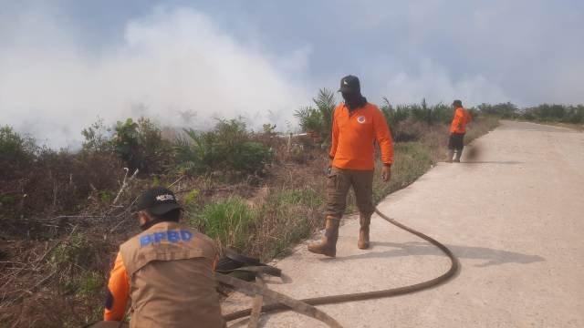 6 Perusahaan di Kalbar Disegel, 20 Proses Verifikasi Lapangan. Siap-siap Dipidana