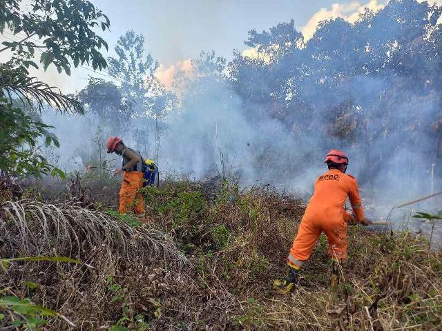 Perda Tidak Berlaku, Masyarakat Bakar Lahan Dipidana di UU 32/2009