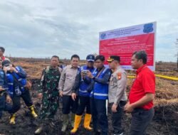 KLHK Segel Lahan PT. Putra Lirik Domas Akibat Karhutla