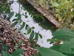 Limbah PT. ASP Diduga Cemari Sungai. LH akan Turunkan Tim
