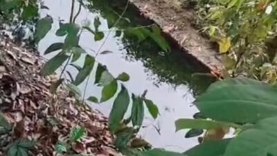 Limbah PT. ASP Diduga Cemari Sungai. LH akan Turunkan Tim