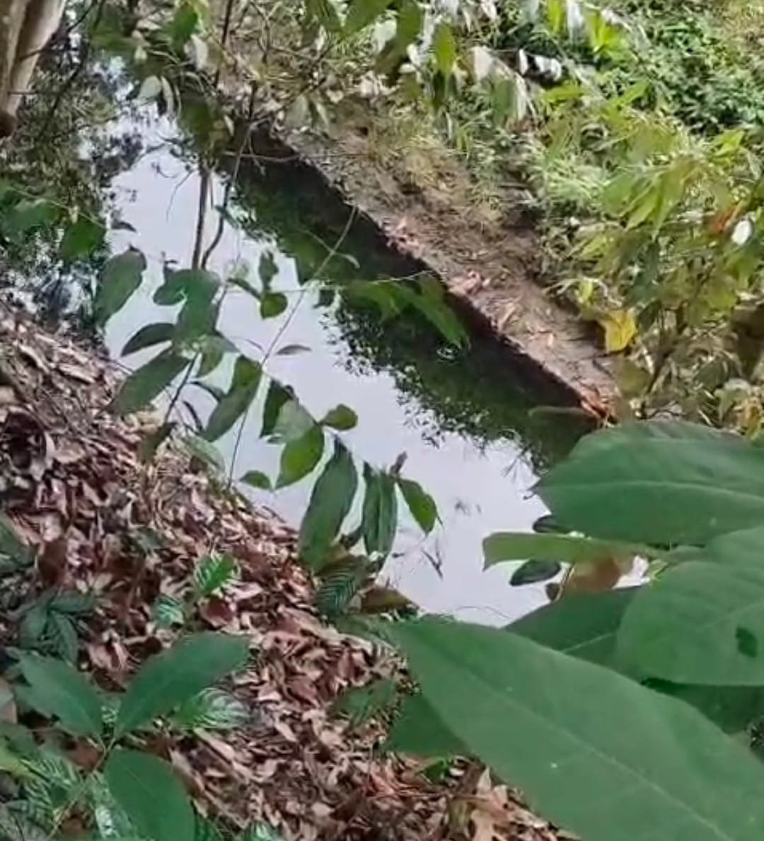 Limbah PT. ASP Diduga Cemari Sungai. LH akan Turunkan Tim