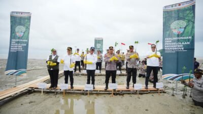 Pesisir Kalbar Rawan Abrasi, Kapolri dan Menteri LHK Tanam Mangrove