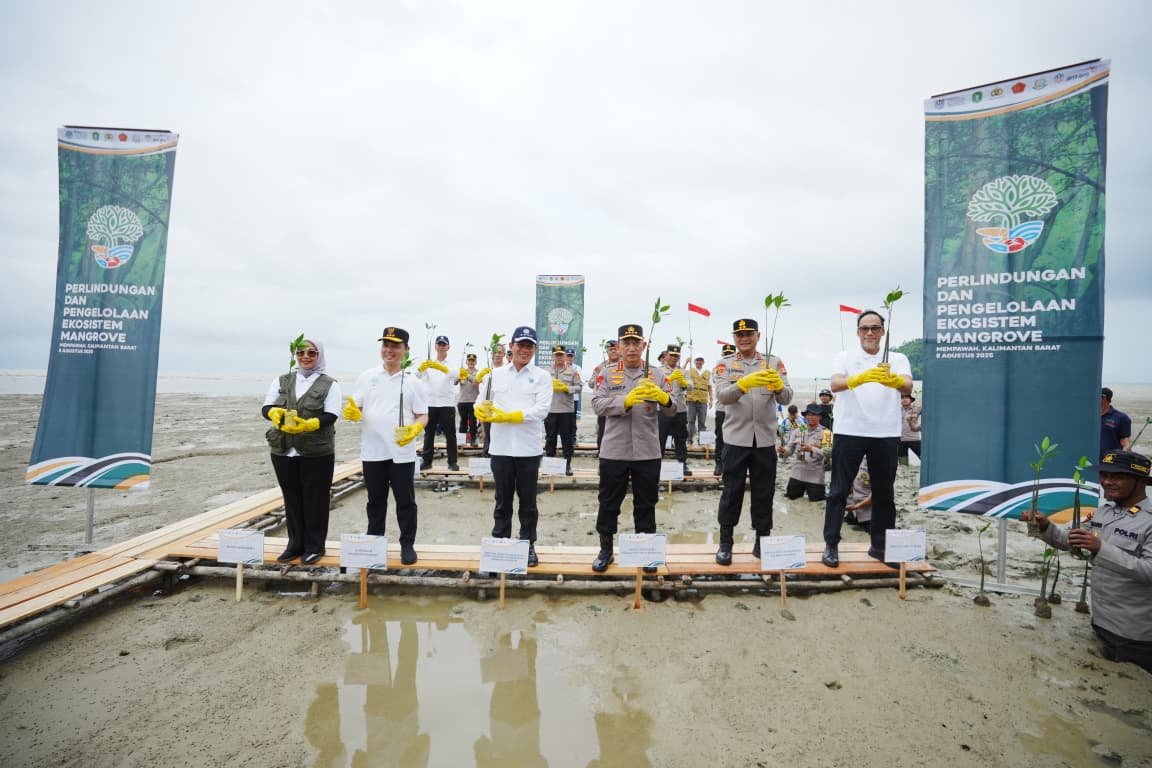 Pesisir Kalbar Rawan Abrasi, Kapolri dan Menteri LHK Tanam Mangrove