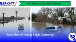 Fakta Menarik Tentang Banjir Chattanooga