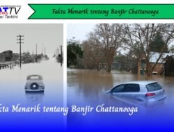Fakta Menarik Tentang Banjir Chattanooga