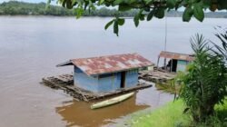 Sui Kapuas di Lintang Kapuas Mengandung Zat Kimia Berbahaya