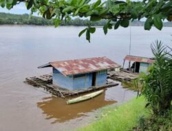 Sui Kapuas di Lintang Kapuas Mengandung Zat Kimia Berbahaya