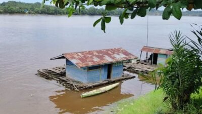 Sui Kapuas di Lintang Kapuas Mengandung Zat Kimia Berbahaya