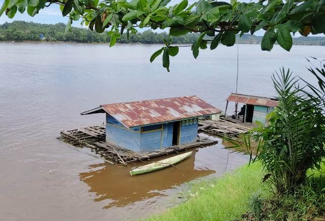 Sui Kapuas di Lintang Kapuas Mengandung Zat Kimia Berbahaya
