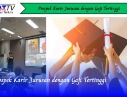 Prospek Karir Jurusan dengan Gaji Tertinggi