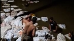 Sebuah kapal motor pengangkut kopra bernama KM King karam di perairan Padang Tikar Satu, Kecamatan Batu Ampar, Kabupaten Kubu Raya, Kalbar, pada Minggu (17/8/2025) sore. Kapal yang mengangkut sekitar 23 ton kelapa itu karam saat tengah melakukan bongkar muat akibat cuaca buruk dan gelombang tinggi. Foto: ist/berkatnewstv