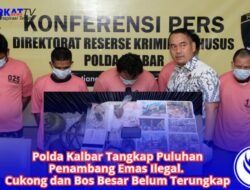 Polda Kalbar Tangkap Puluhan Penambang Emas Ilegal. Cukong dan Bos Besar Belum Terungkap
