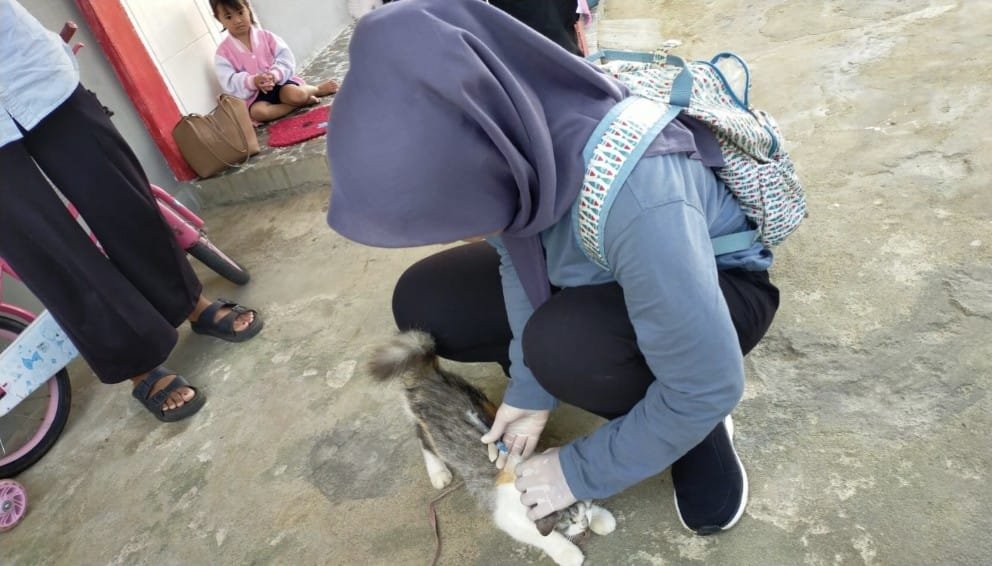 Hampir 18 Ribu Ekor Hewan Rabies Divaksin dari Total 53 Ribu Ekor