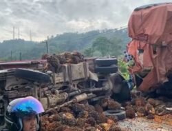 Kecelakaan Beruntun Dum Truk Pengangkut Sawit Hingga Terbalik